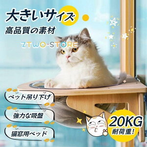 Lp nbN L FD^ Lxbh xbh ͋z  NA{E  t^Cv ω׏d20kg    ؐ