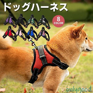 n[lX  ^ ^ ^  Ȃ  p ybg  킢 v E₷ ɂ q c V ^