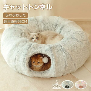 Lbggl Lgl xbh h[  a26CM ۂ ~ ܂肽ݎ LV ^s ΍ Lp L ыʂ