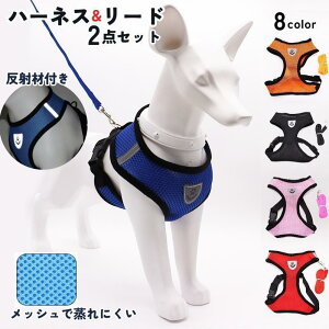 n[lX [h 2_Zbg p Lp ybgp obN DJ UR ˃e[v ʋC bV Vv JWA  킢 