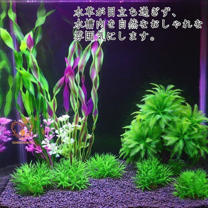 楽天市場】水草 人工 アクアリウム 10本セットメダカ 熱帯魚 金魚 水槽 