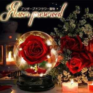  vU[uht[ KXh[ v[g Mtg ͂Ȃ o   LO CeA a LOi 蕨 oYj ̓