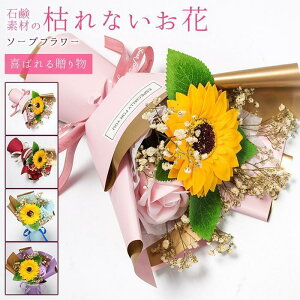 tOX\[vt[ ԑ 񂰑ܕt Ђ܂ o u[P \[vt[ ͂Ȃ  v[g Mtg ̓ o^C a j