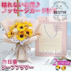 \[vt[ Ђ܂  ԑ   {bNX o Cxg ̓ v[g