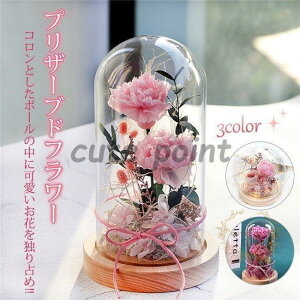 vU[uht[ KXh[ v[g Mtg ͂Ȃ J[l[V  j a CeA 蕨 ̓   c ސEj