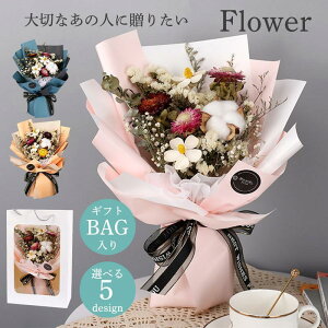  CeA hV̓ ̓ v[g Mtg ԑ  u[P o ẻ JX~\E ̓ j Vw V  LO a