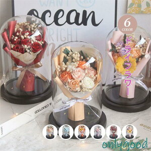 X[p[ 񂰑ܕt o^C vU[uht[  ͂Ȃ t[ [Y Ђ܂ KN ԑ v[g o