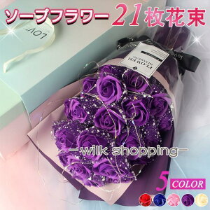 \[vt[ ԑ Mtg u[P ԑ   {bNX o Cxg ̓ v[g