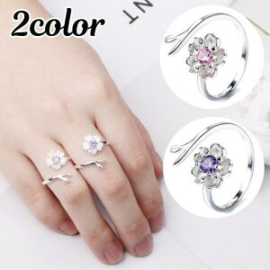 w I[vO ANZT[ fB[X p CXg[ F Vo[J[   t[ \ J 킢 