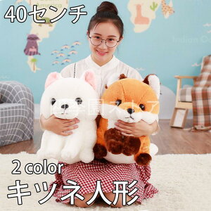 Lclʂݖʂ݃Lcll`̒uʂ 2color