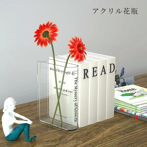 ANԕr  k _ IVԕr booǩ` fUC Ԃ̂炵 CeA 20cm  e ԗp u rO Q   H