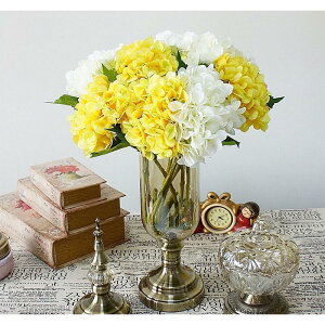  CeA t[AWg F2{Zbg u[P p[c 傫  v[g Mtg zj j ސEj