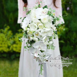 EGfBOu[P LXP[hu[P  u[P ԉ 񎟉 I  OB CO EFfBOu[P uC_ A[gt[ zCg 