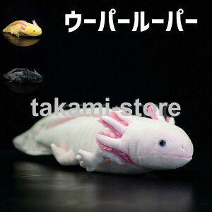 ʂ [C [C TVEEI E[p[[p[ ObY NbV Cm C̐ 킢