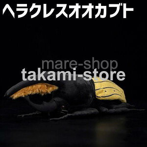 ʂ  wNXIIJug ObY NbV ނ  킢 q v[g