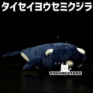 ʂ C̐ ^CZCEZ~NW ~ ObY NbV Cm C̐ 킢 q v[g