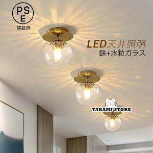シーリングライト おしゃれ 北欧 照明器具 スチール ガラス ボール LED電球付き リビング 和室 洋風 寝室 玄関 廊下 レストラン 丸形 天井照明