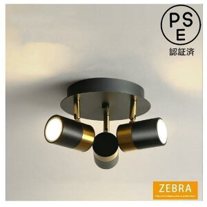 天井照明 シーリングライト スポットライト ダウンライト ブラケット LED室内照明器具 ベランダ寝室階段廊下玄関ランプ 欧米現代簡約 工事必要 照明角度調節 3灯