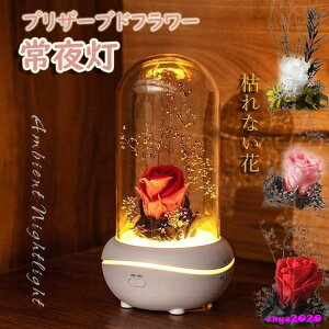 vU[uht[ ͂Ȃ o A}fBt[U[ LO v[ j w  铔 e[uCg ドCg G 铔