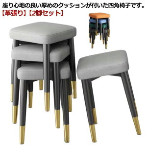 Xc[ lp ֎q ᔽ NbV v PU U[ `FA _CjO`FA wȂ k  lp CX  ςݏd X