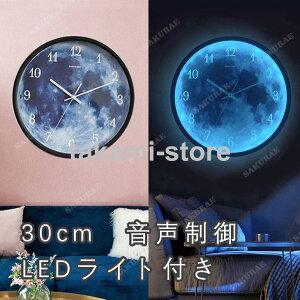 Ǌ|v |v 30CM  2021 LEDCgt v ^ É    ؍ k ǂ v a ̓ v[g Mtg