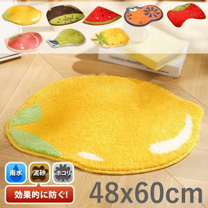 玄関マット 48x60cm 屋内 ドアマット バスマット 吸水 洗える 滑り止め 水洗いOK 玄関 エントランス 屋内用 家庭用 シンプル ウェルカムマット おしゃれ 可愛い