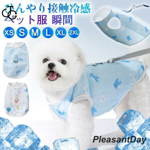   n[lX ybg p N[xXg MǑ΍ ΍ Ђ xXg N[ u p hbOEGA ^ ^ U