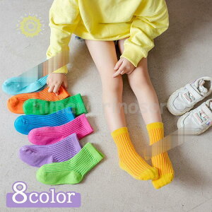 q C \bNX nC\bNX j̎q ̎q w 12?22cm Mtg v[g j  w  WjA wZ VY ^ C