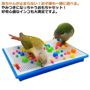 ̂Zbg ̂ pߋ vX`bN IJCR CR  o[hgC   XgX ZLZCCR S