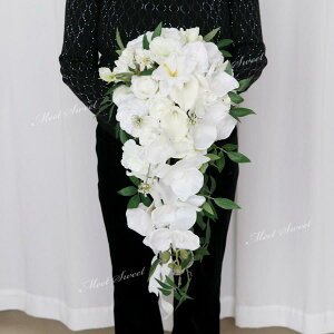 EFfBOu[P uC_u[P LXP[hu[P EGfBOu[P ԉ u[P  ԑ ؂₩ GKg  񎟉 I zCg 