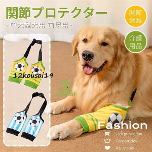 ^pGT|[^[ p ֐߃veN^[O  ֐ߕی Œ nr Iănr ЂpV pih~V ybgPA