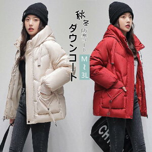 _EWPbg fB[X t[h_EWPbg ~V  ؍ V[g_ER[g H~R[g AE^[  h g n C l