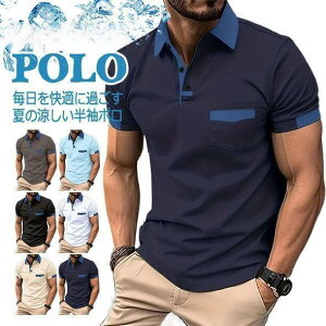   |Vc StVc StEGA Y |Pbg Ђ 傫TCY N[rY rY| y ʋC  St| StEGA