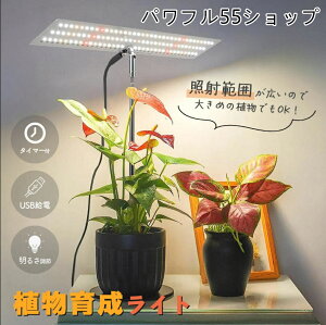 tA琬Cg 3[h 10iK  LED ACg A琬v ϗtApCg ͔|v 莞@\ ^C}[ Px cCg ϗtA ȒP gݗ A琬 C