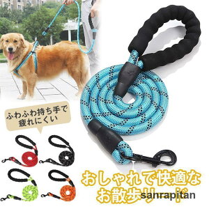  [h 3m O[h ˋ@\ X|Wnh ^ ^ U RpNg ₷ P[h  v [v  P