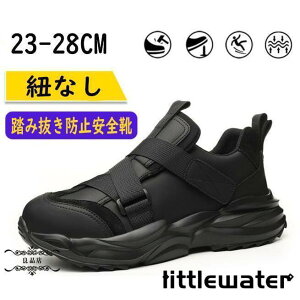 SC  Y fB[X RȂ ƌC y  |c jp 񂺂C Z[teB[V[Y 傫TCY