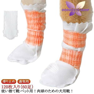 pC y120z LkSѕt 60 C Lp hbOu[c _炩 ĝ y120z ̉h~ ~ sDz 