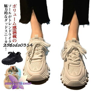 _bhXj[J[ EH[LOV[Y ^C Xj[J[  JWAV[Y C gAbv Xj[J[ ʋC V[Y q[6cm _