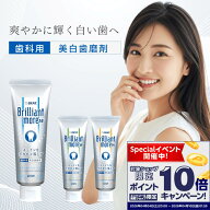 【楽天マラソンとは別で＋10倍！】【選べる種類】LION ライオン DENT ブリリアントモア ダブル 90g ナチ…