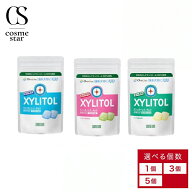 【5個セットがお得】 XYLITOL キシリトール ガム 歯科専用 ラミチャック 35g 21粒 アップルミント クリア…
