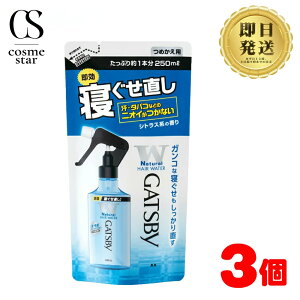 y3Zbgz }_ GATSBY Mcr[ QEH[^[ ߂p 250ml VgXn wAEH[^[ wA~Xg X^CO  l Iׂ 1 2 3