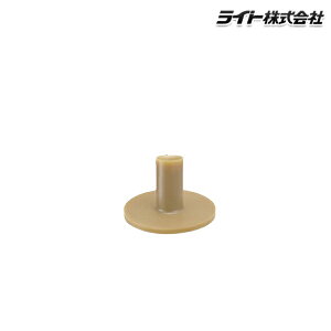���C�g T-691�p�[�}�l���g�e�B�[M�i35mm�j�䎆���� �e�B�[ t691 �y20�z