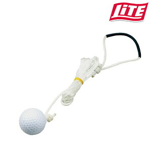 Cg VvVbgp ACX\[R[Stpi StK RtXyA{[(SS-023) Cg()M-312 m-312