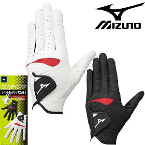 y݌ɌZ[z~Ym Y RtBObv p StO[u 5MJML253y22zMIZUNO 葕p