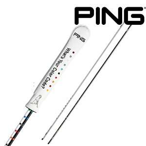 12聚ySiΏہIGg[Ń|Cg3{IzsSt ACgXeBbN AC-U202 PING GOLFy22z