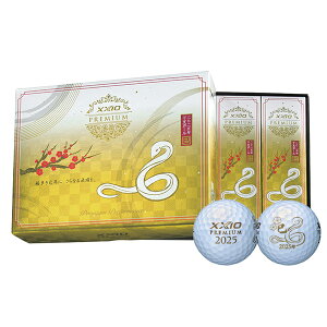 y2025N x{[z_bv [NVI v~A 2025Nx{[  St{[ 1_[Xy24z