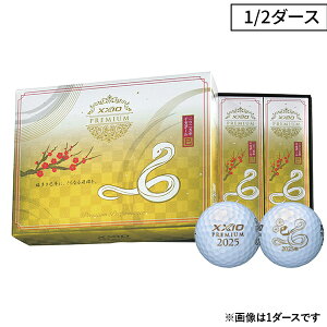 y2025N x{[i_[X 6jz_bv [NVI v~A 2025Nx{[  St{[ _[Xi6jy24zwbhXs[h̒xj⏗St@[ɃIXX