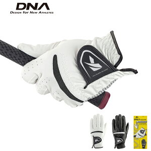 LXR Y DNA VR ̓Obv p StO[u SF-2312y23z