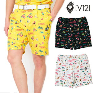 V12 tăf Y RESO V[gpc V122411-HP13y24z