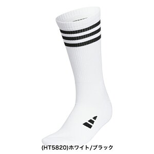 AfB_XSt 2025NH~f N[ X[XgCv NbV\bNX MGR52y25z